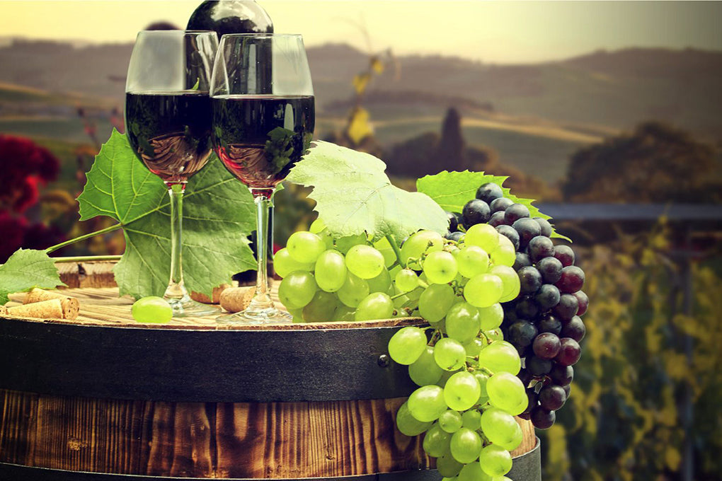 The Expert Guide to Finding the Perfect Wine Pairings for Your Wedding