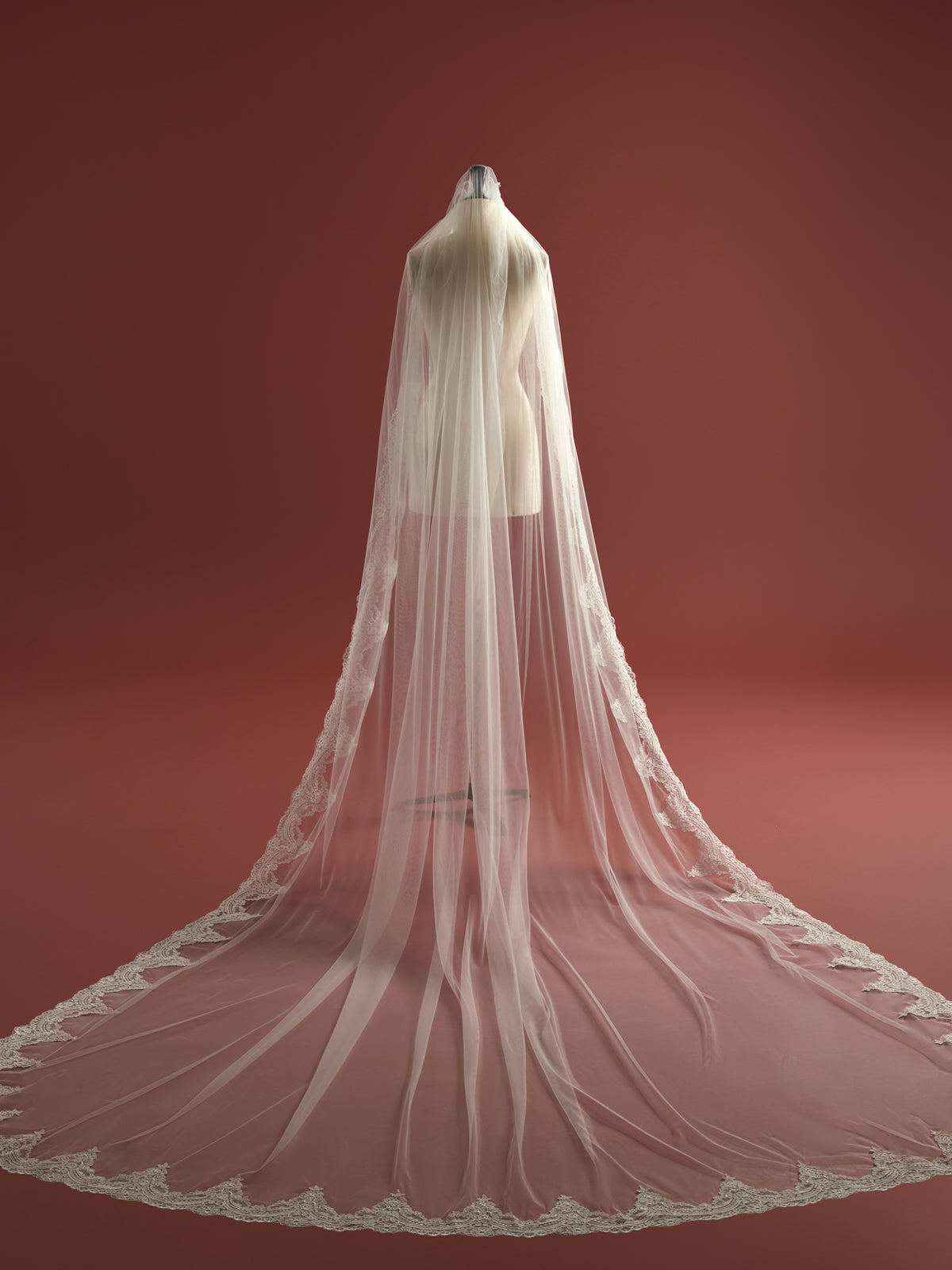 Anais Veil | Lace Trim Cathedral Length Veil display picture 3