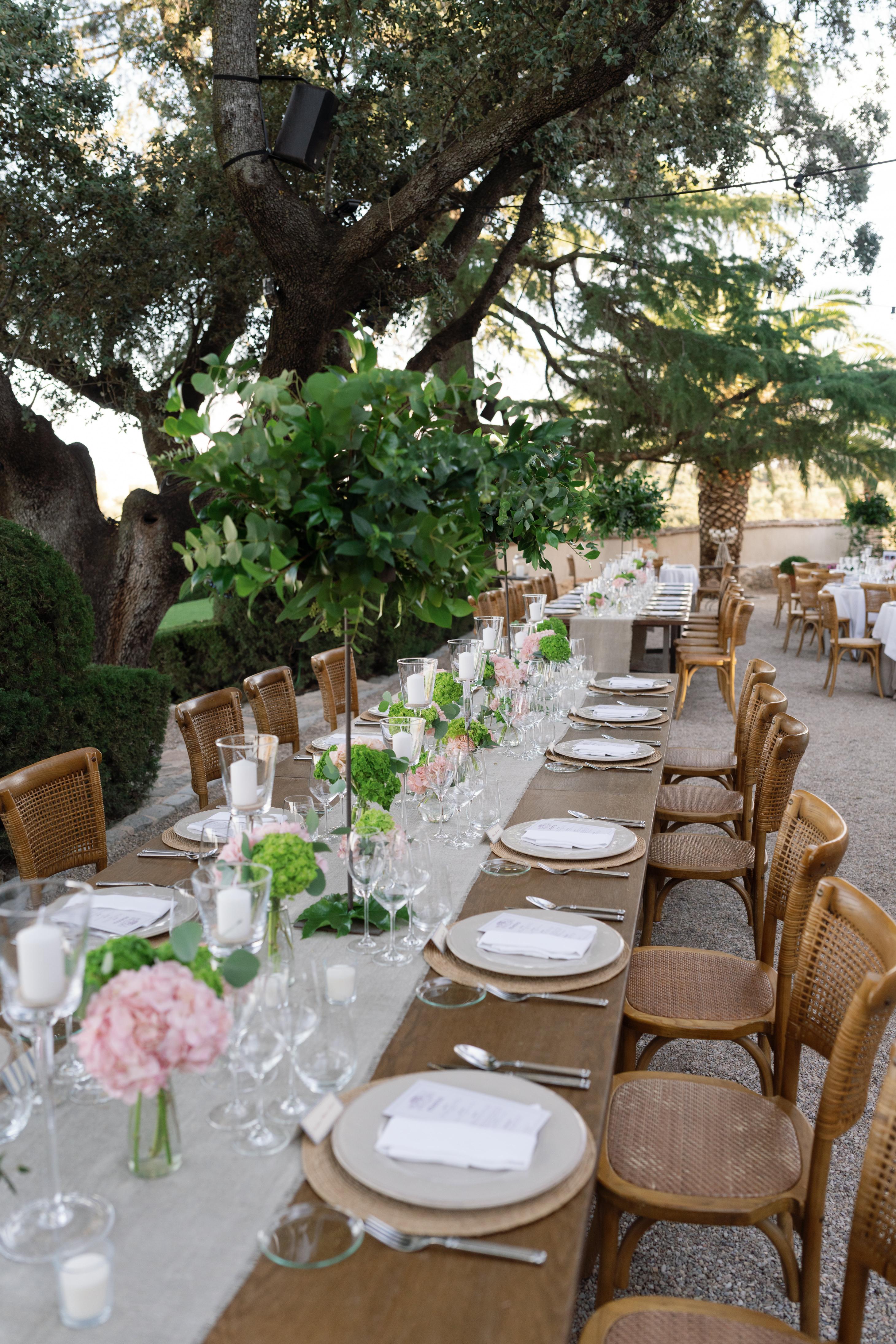 Outdoor wedding reception with long table set for dinner, surrounded by trees and chairs.