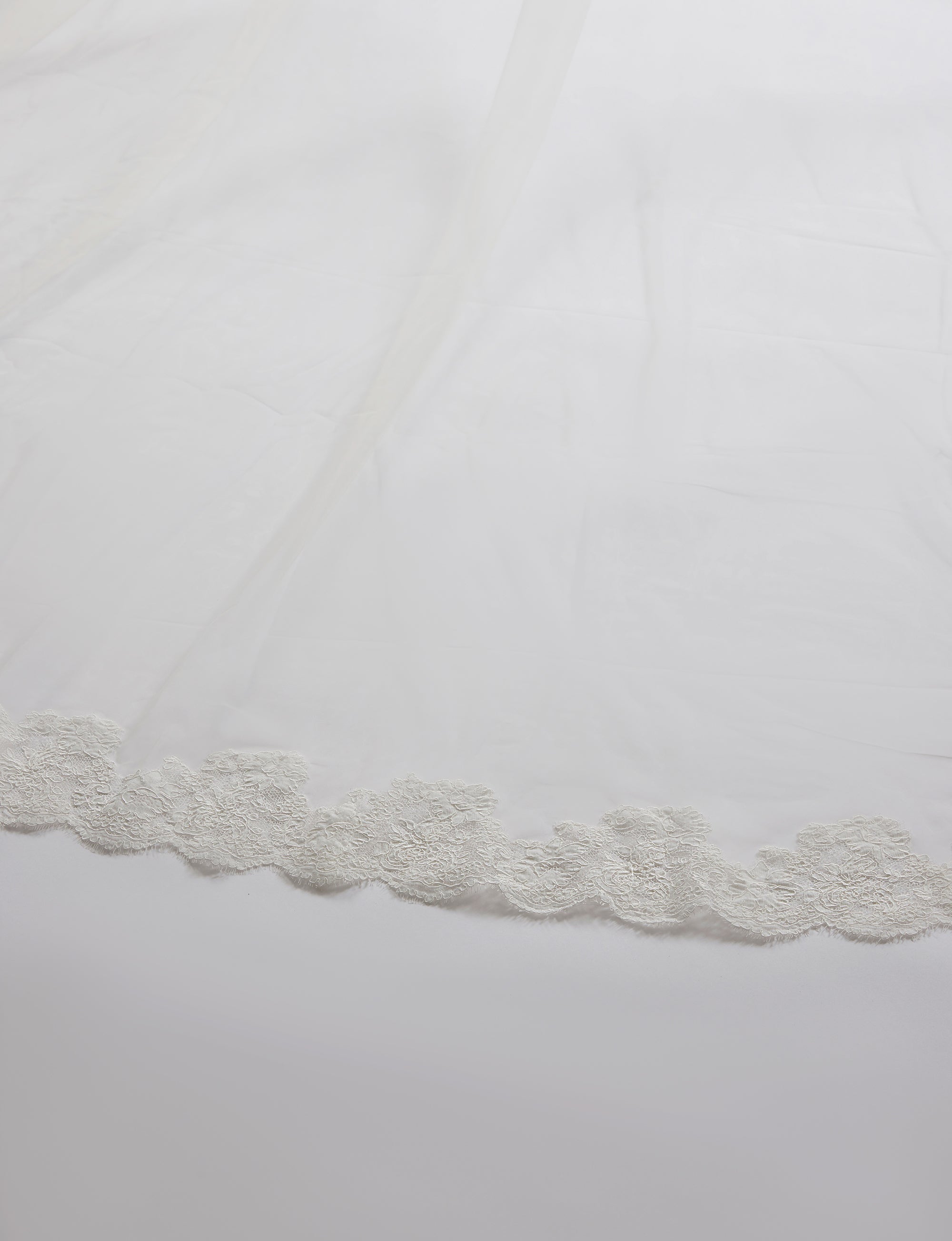 Close-up of a white lace trim on a light gray background
