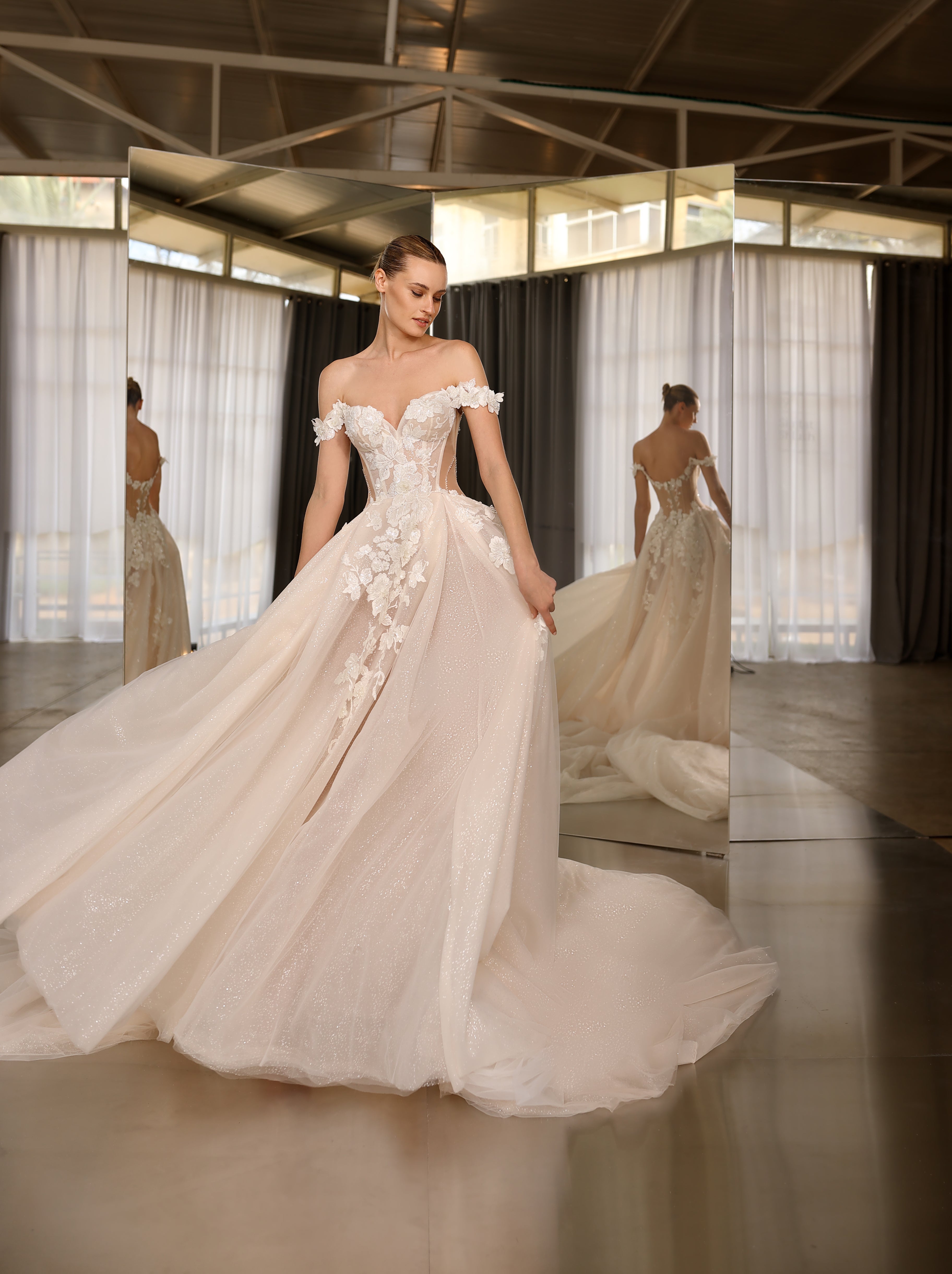 Euphoria | Modern Romantic A line Sparkly Princess Wedding Dress Euphoria | Modern Romantic A line Sparkly Princess Wedding Dress