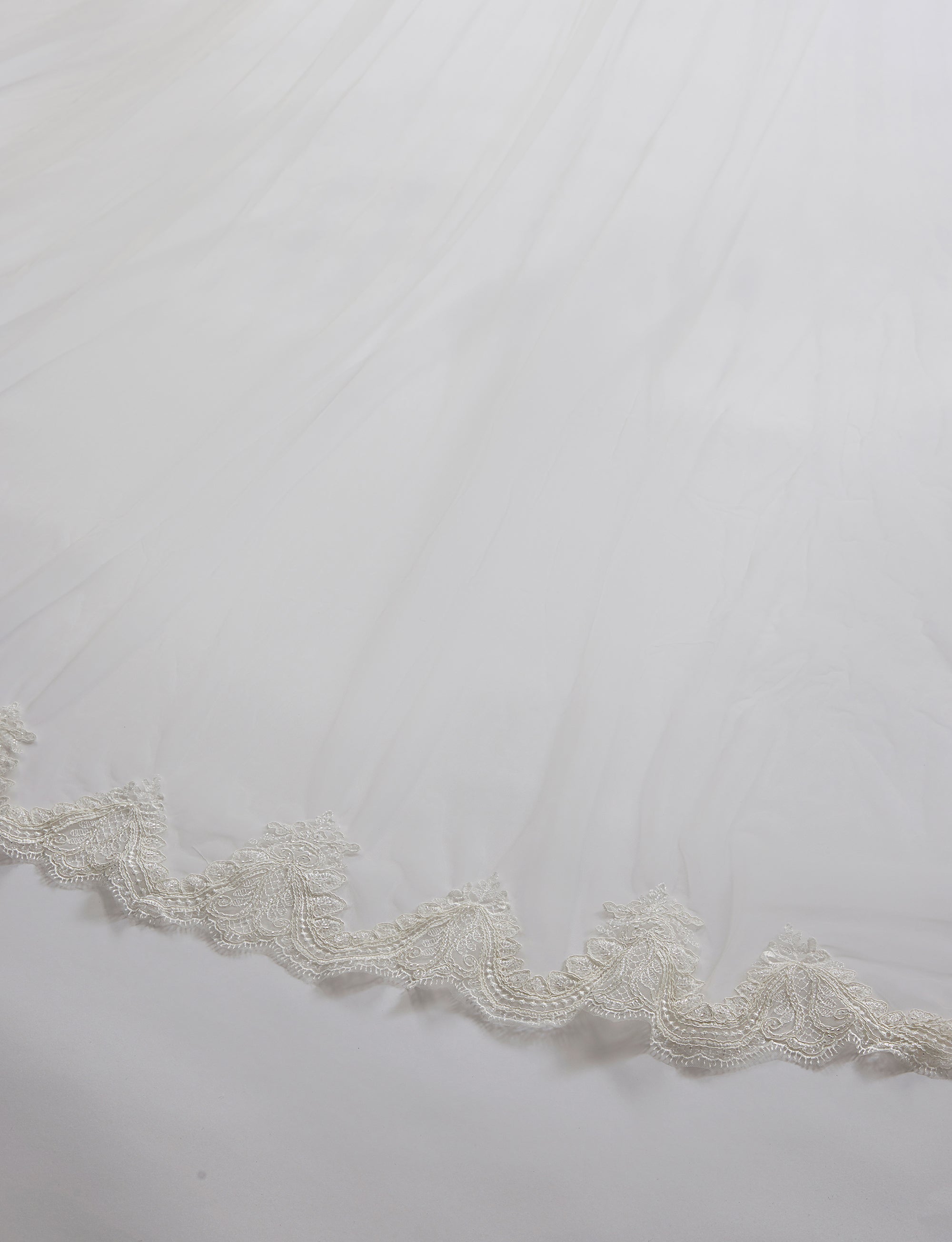 Close-up of a lace trim on a light gray background